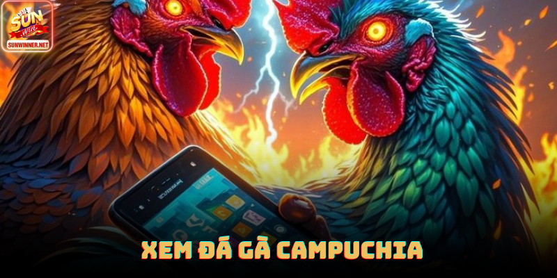 Giao diện xem trực tiếp đá gà HD tại Sunwin với hình ảnh sắc nét