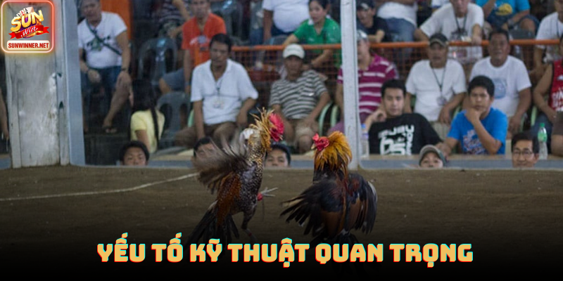 Đá Gà Cựa Dao: Thể Loại Đối Kháng Tốc Độ Cao Tại Sunwin Huấn luyện viên đang cân chỉnh cựa dao và kiểm tra thể lực chiến kê