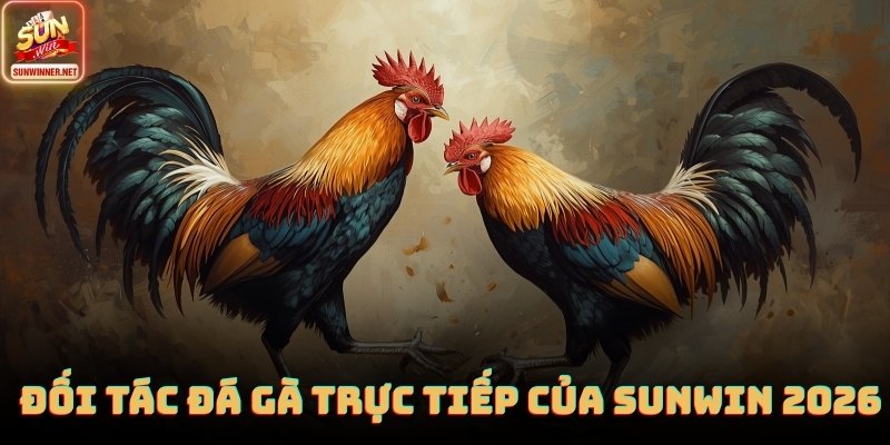 Tỷ lệ đá gà cực chính xác và được điều chỉnh liên tục tại Sunwin