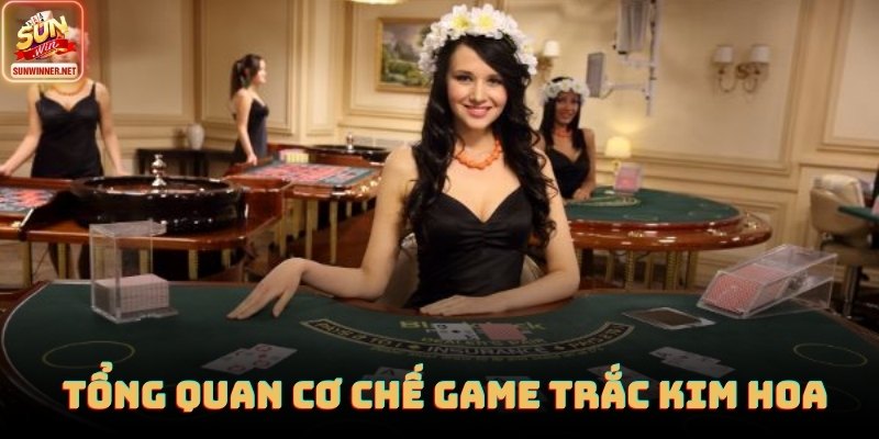 Bàn chơi Trắc Kim Hoa mô phỏng chia ba lá với tốc độ ổn định